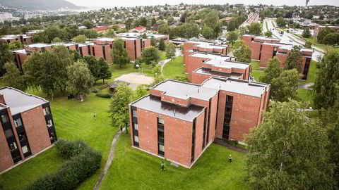 Dette er året da festene forsvant, undervisningen ble flyttet til Zoom og Teams og studentene ble sittende på hybelen, skriver artikkelforfatteren. Bilde av Moholt Studentby, Trondheim.