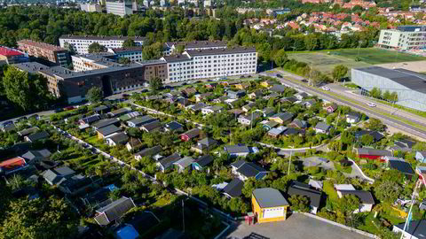 Hjemmets kolonihager på Sagene (bilde) ble etablert på begynnelsen av 1900-tallet. Artikkelforfatteren mener kommunene nå bør legge til rette for mikrohus, idyll i lommeformat.