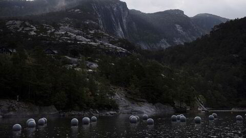 Siden 2019 har Brynjar Berg opplevd at blåskjellene dør i Lysefjorden utenfor Stavanger. Forskere har påvist et giftstoff som brukes til impregnering av oppdrettsmerder i skjellene.