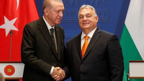 Tyrkias president Recep Tayyip Erdogan og Ungarns statsminister Viktor Orban skaper jevnlig frustrasjon hos vestlige partnere.