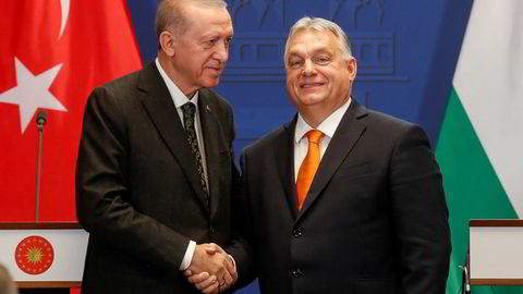 Tyrkias president Recep Tayyip Erdogan og Ungarns statsminister Viktor Orban skaper jevnlig frustrasjon hos vestlige partnere.