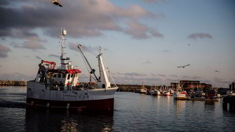 Men mer enn i noen annen bransje gjelder det i fiskeriforvaltning å sette tæring etter næring, skriver Geir Huse og Bjarte Bogstad.