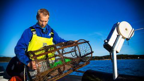 Hummerforsker Alf Kleiven ved Havforskningsinstituttet mener det må langt skarpere lut til for å bygge opp hummerbestanden.