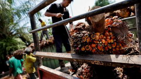 Over halvparten av verdens palmeolje produseres i Indonesia. Nå er det innført et eksportforbud. Konsekvensene merkes over hele verden. Her fra Pekanbaru i Riau-provinsen.
