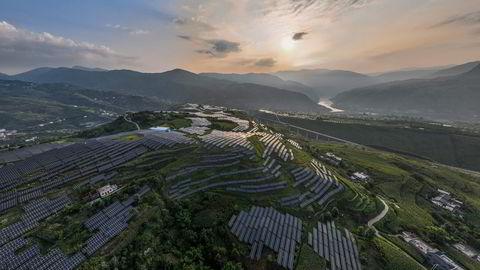 Kinesiske myndigheter pøser enorme beløp inn i økonomien. Her fra en pepperplantasje i Sichuan, hvor det er installert solcellepaneler.