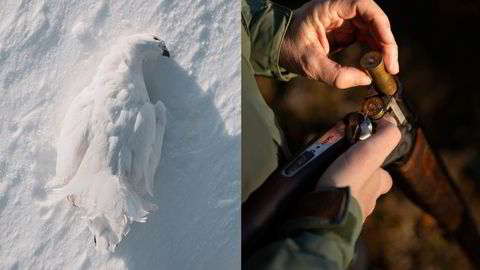 På ti år har det skjedd en markant endring i hva folk er villig til å bruke på jakt og fiske.