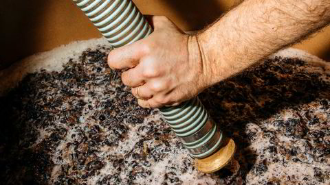 Håndarbeid. Luca ved Carussin Winery bruker en pumpe for å få nyhøstet nebbiolo inn i et gjæringskar av leire.