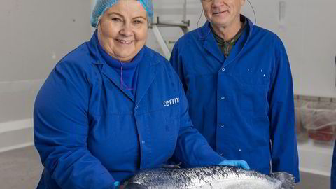 Høyre-leder Erna Solberg på besøk hos Cermaq i Hammerfest. Til høyre administrerende direktør Knut Ellekjær.