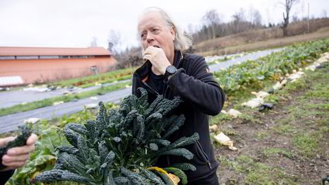 – Den er utrolig næringsrik, sier Atle Brynestad om svartkålen han dyrker på gården han eier ved Jevnaker.