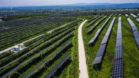 China and others have a decades-long head start on solar and other clean energy technology manufacturing, meaning the US’s green tech import dependence is likely to last for some time.