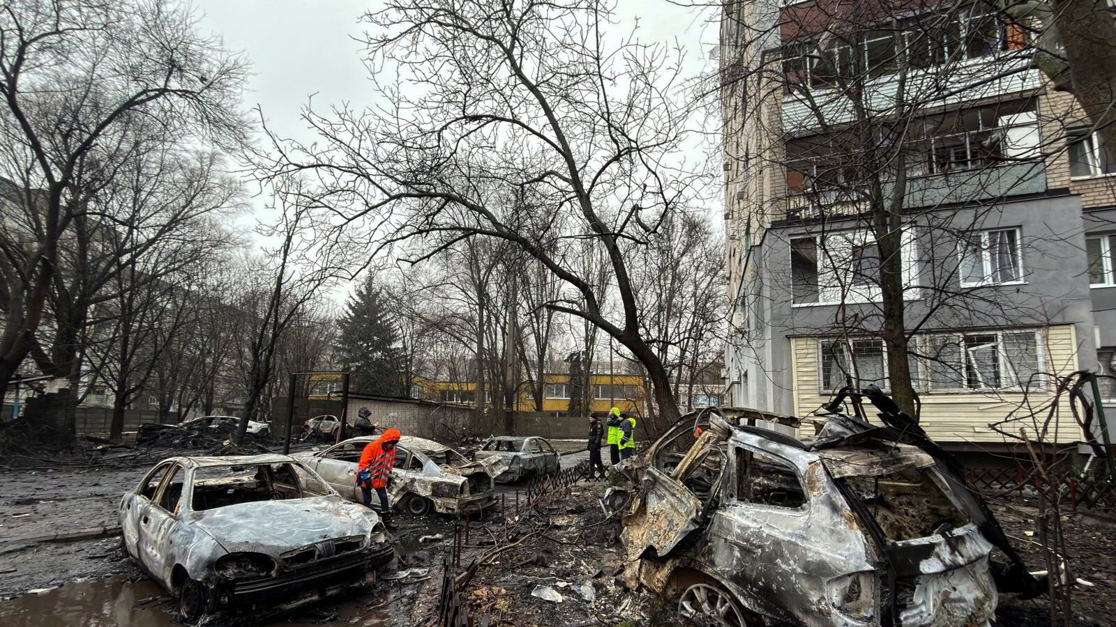Krigsøkonomien kan fange