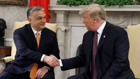 Parhester på ny? Viktor Orban har problemer, men kan håpe på seier for vennen Donald Trump i november.