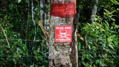 I Colombia stopper lokalsamfunn hugst av regnskog for bare fem dollar per tonn CO2, skriver kronikkforfatterne. Bildet er fra Meta i Colombia.