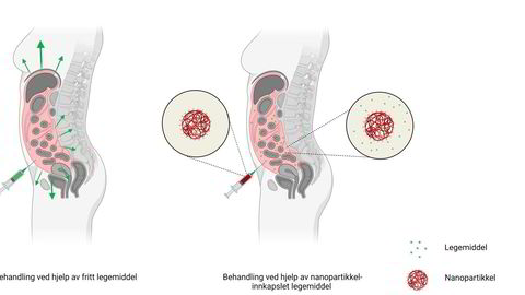 Slik øker nanoinnkapslingen tiden legemiddelet (grønt) befinner seg i bukhulen (rosa), sammenlignet med når legemiddelet blir injisert fritt.