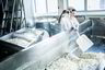 Produksjonsmedarbeider på Rørosmeieriet, Anne-Mari Langeng flytter cottage cheese til avkjøling før den skal pakkes.