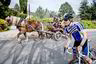 BLODSLIT I IDYLL. Idylliske Provence i Frankrike danner kulissene for norske syklister på treningsleir. Mens det franske landsbylivet går sin gang, samler far og sønn Remman motivasjon og styrke til deltagelse i triatlonen Norseman 2. august.
