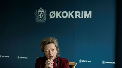 I Norge håndteres rapporter om mistenkelige, internasjonale pengetransaksjoner fra finansnæringen av Enheten for finansiell etterretning, som ligger under Økokrim. Assisterende Økokrim-sjef Hedvig Moe sier at etaten ikke kjenner til hva som er lekket fra Fincen når DN spør om norske interesser er berørt.