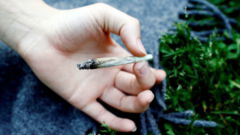 Ungdommer over hele landet har svart på spørsmål om sin cannabisbruk i undersøkelsen.