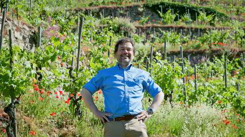 Michel Chapoutier var ikke interessert i vin før han besøkte Napa Valley i California på 80-tallet.