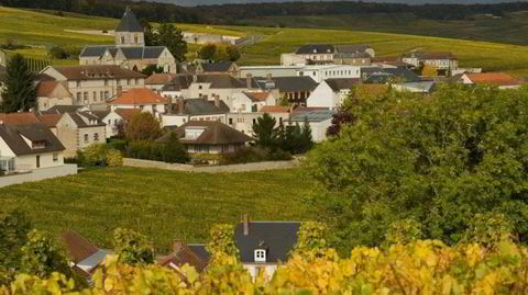 Vinmarken Clos du Mesnil ligger midt i landsbyen Le Mesnil-sur-Oger omkranset av mur.