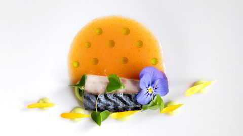 Makrell – brent og syltet – servert på spansk manér viser at Bare har estetiske ambisjoner med maten.