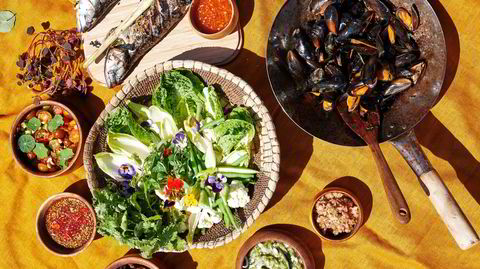 Matprepp. Med et utvalg ferdiglagde dipper og allerede oppkuttede grønnsaker, er det en smal sak å diske opp med en thaibuffet på stranden eller i parken, viser Terje Ommundsen.