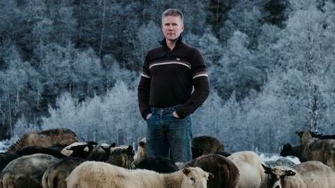 Forfatter Tore Kvæven fotografert hjemme på gården sin i Sirdal. Han er lærer, sauebonde og forfatter. Nylig vant han Brageprisen for sin bok «Når landet mørknar».