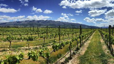 Central Otago har seilt opp som et av de mest spennende områdene på New Zealand.