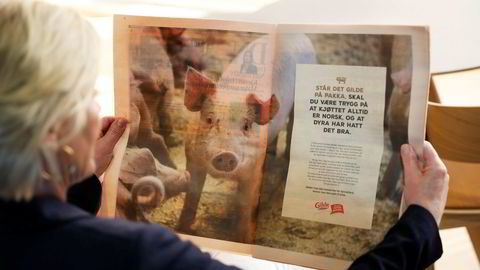 Flere forbrukere ble provosert av annonsen for norsk svinekjøtt etter at NRK sendte sjokkdokumentaren «Griseindustriens hemmeligheter»