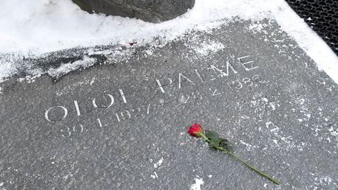 En rød rose på graven til tidligere statsminister Olof Palme på Adolf Fredriks kirkegård i Stockholm. Palme ble skutt og drept på Sveavägen i Stockholm 28. februar 1986.