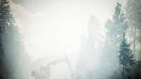 En skogsmaskin brukes i arbeidet med å etablere en branngate ved Färila i Sverige.