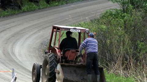 Hvis bøndene er redde, må de vurdere om det er nødvendig å kjøre traktor på veiene, mener Statens vegvesen.