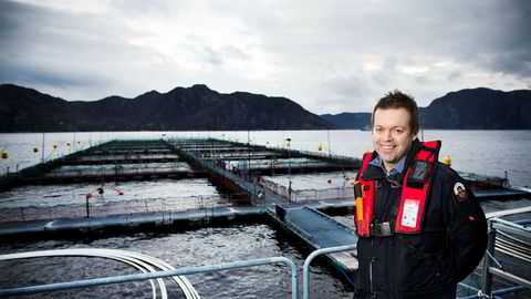 Takket være Marine Harvests lukrative opsjonsprogram tredobler konsernsjef Alf-Helge Aarskog grunnlønnen.