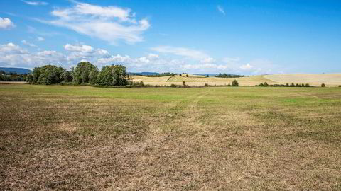 Mange bønder har slitt med tørke i hele sommer. Nå kan det koste staten flere hundre millioner kroner.