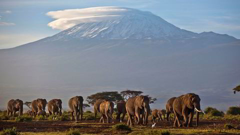 Atle Sigmundstad utviklet akutt høydesyke og døde på turen til Kilimanjaro, Tanzania.