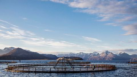 Lerøy Seafood leverer svakere resultater i fjerde kvartal. Her fra Lerøy Auroras anlegg i Kågen i Nord-Troms.