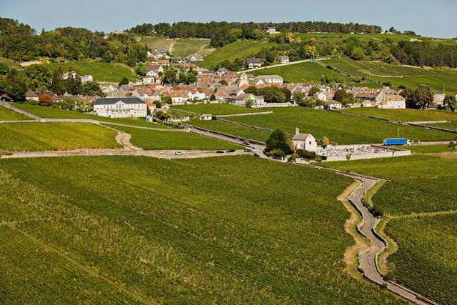 En dyktig produsent lager god vin uavhengig av årgang og vinmark. Bildet er fra Volnay.