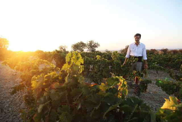 Willy Pérez vil tilbake til vino de pasto som sherry-regionen Jerez de la Frontera laget tidligere.
