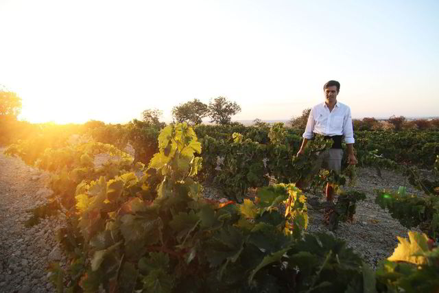 Willy Pérez vil tilbake til vino de pasto som sherry-regionen Jerez de la Frontera laget tidligere.