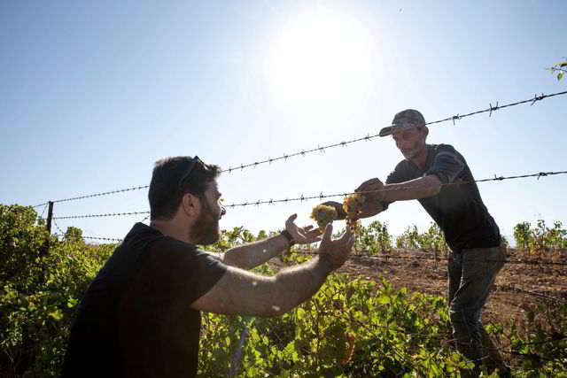 Faouzi Issa inspiserer nye de vinmarkene til Domaines Des Tourelles i Bekaadalen. Det har vært laget vin i Libanon siden Romerriket strakk seg dit, men den libanesiske vinindustrien har aldri hatt det vanskeligere.