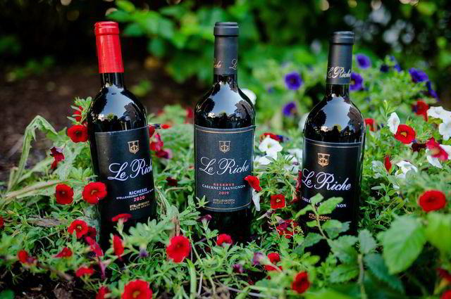 Le Riche produserer årlig 9000 kasser fordelt på fire forskjellige viner. Vinhusets tre rødviner kommer nå til Vinmonopolet.