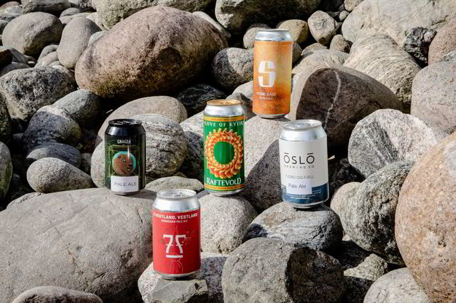 ØL til DN magasinet – smak. Salikatt Home Base NE Pale Ale, Beer Flag Gnager, Oslo Brewing Fjord og Fjell Fairytale Malt, 7 Fjell Å Vestland, Bygland Raftevold For the Love of Kveik. FOTO: Gabriel Aas Skålevik, DN.