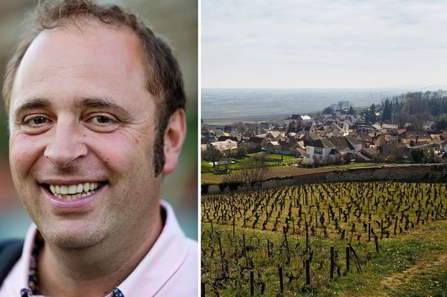 François Duvivier har vært vinmarker hos legendariske Angerville i en årrekke. I morgen kan du være heldig og sikre deg vin fra den legendariske vinmarken Clos des Ducs og eiendommen Marquis d'Angerville i Volnay i Burgund.