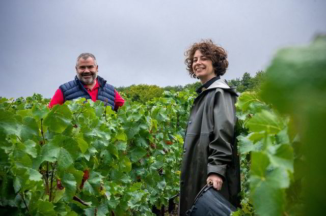 Benoît og Mélanie Tarlant lager fremragende vin i Marne-dalen i Champagne.