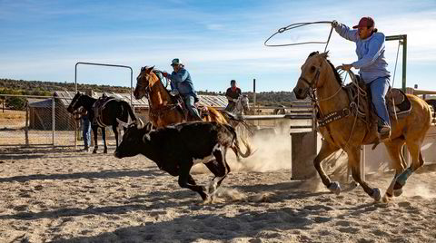 På en slette utenfor Steamboat Rock trener Tommy Jackson Sr (til venstre) og datteren Christina Luna «roping» – å fange en løpende kalv med lasso fra hesteryggen. For de beste ligger det store penger i sporten.