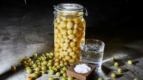 Bevare meg vel. Vann og salt, det er alt. Mer skal det ikke til for å bevare de ferske stikkelsbærene i flere måneder fremover.