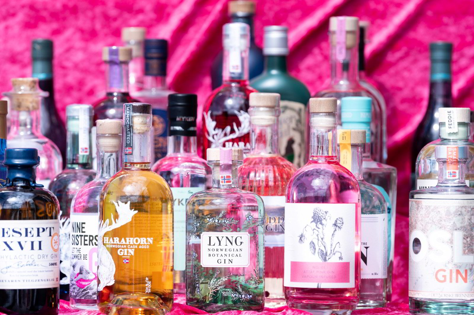 Omslagsbilde for bloggartikkelen Norsk gin: guide til Norges beste ginprodusenter
