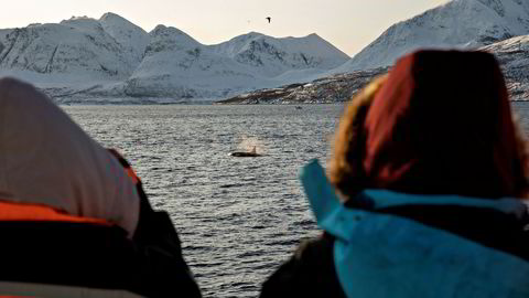 Turister som har kjøpt pakkereiser har rett på full tilbakebetaling nå som reisene ikke kan gjennomføres. Hovedorganisasjonen Virke frykter en konkursbølge og store konsekvenser også for hoteller og transportører.