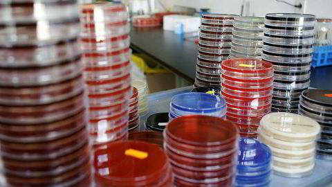 Det meste av antibiotikaen som brukes i Norge importeres fra Kina og India.