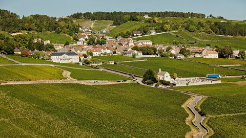 Fra landsbyen Volnay i Burgund kommer noen av de mest forbløffende vinene fra den legendariske 2015-årgangen.